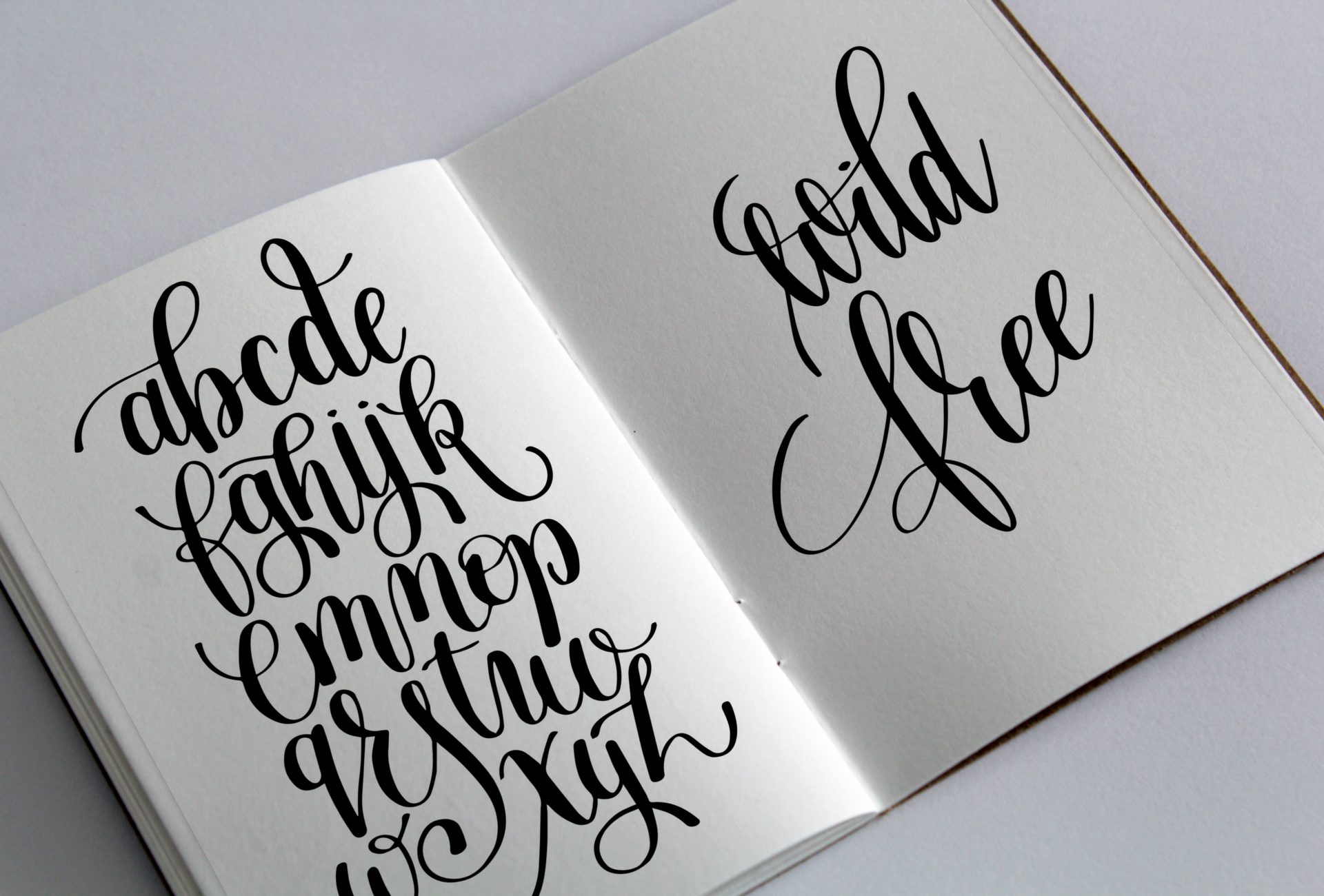 brush pen typography